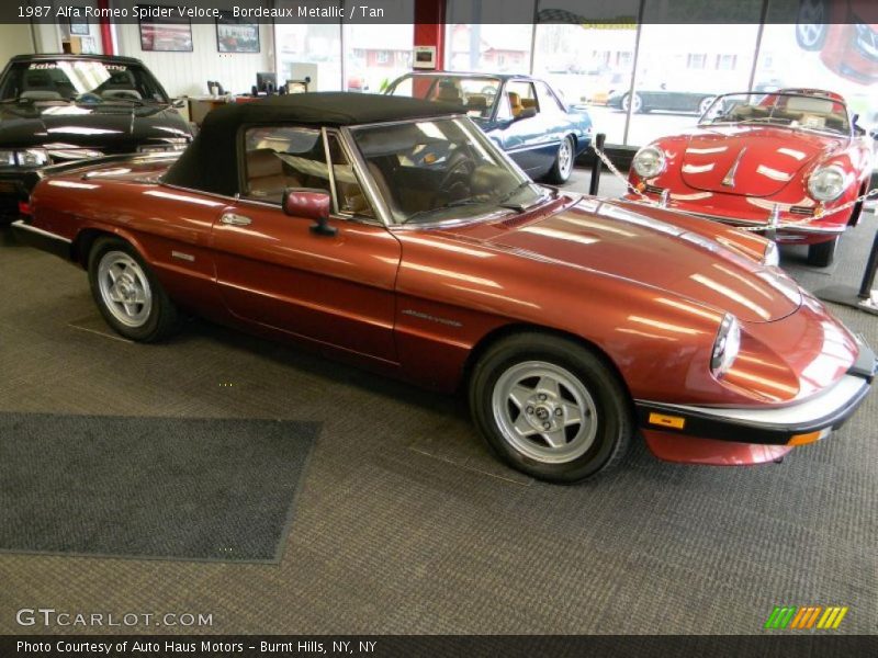  1987 Spider Veloce Bordeaux Metallic