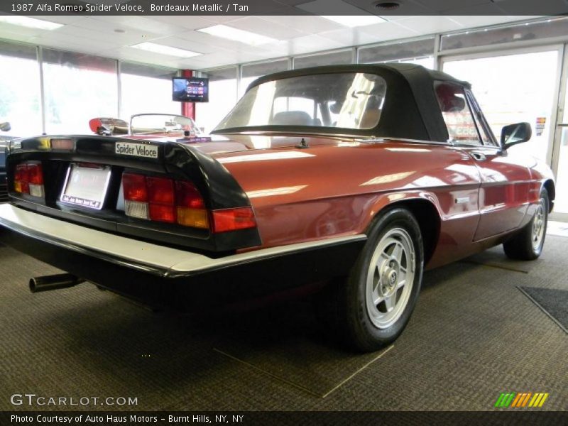  1987 Spider Veloce Bordeaux Metallic