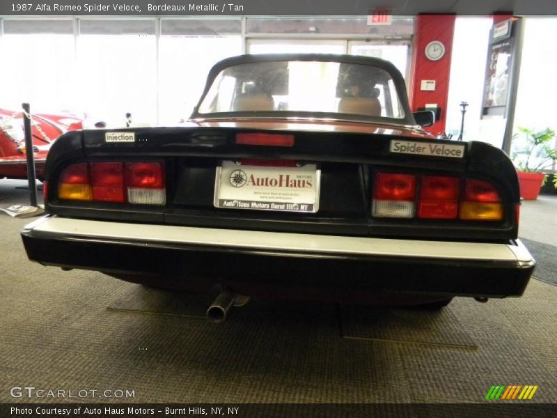 Bordeaux Metallic / Tan 1987 Alfa Romeo Spider Veloce