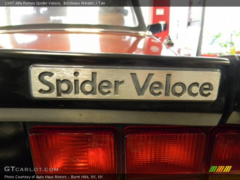  1987 Spider Veloce Logo