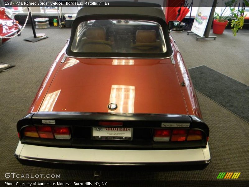 Bordeaux Metallic / Tan 1987 Alfa Romeo Spider Veloce