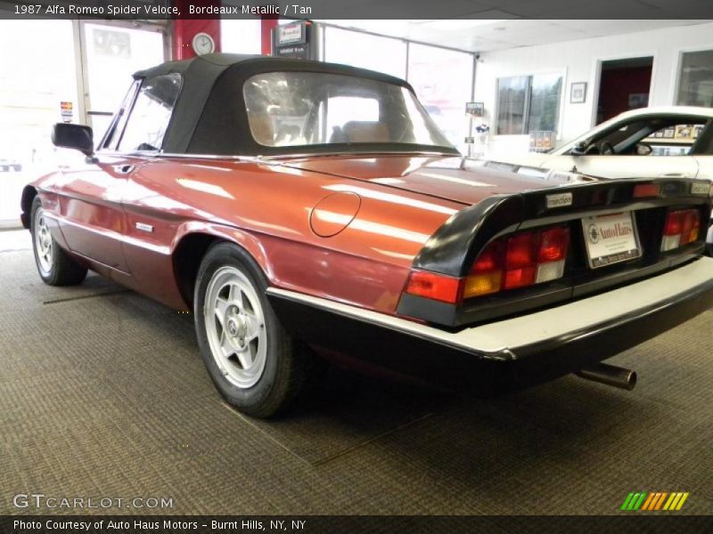 Bordeaux Metallic / Tan 1987 Alfa Romeo Spider Veloce