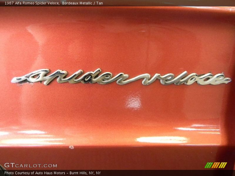  1987 Spider Veloce Logo