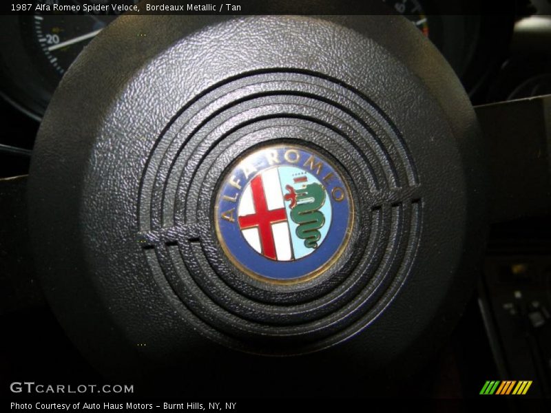  1987 Spider Veloce Logo
