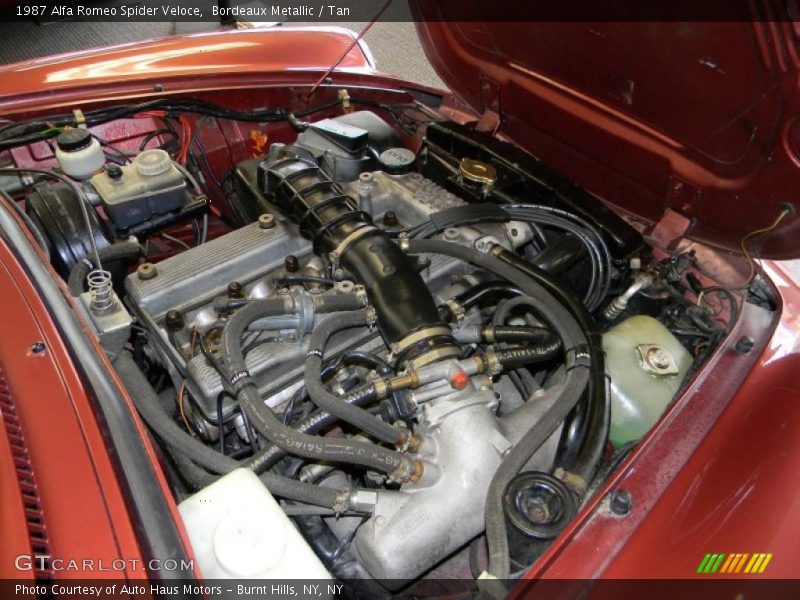  1987 Spider Veloce Engine - 2.0L DOHC Fuel Injected Inline 4 Cylinder