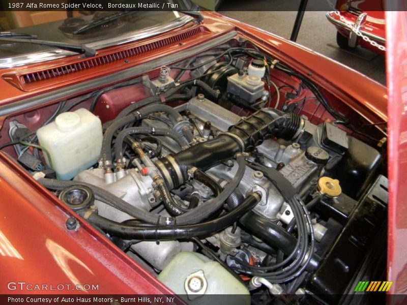  1987 Spider Veloce Engine - 2.0L DOHC Fuel Injected Inline 4 Cylinder