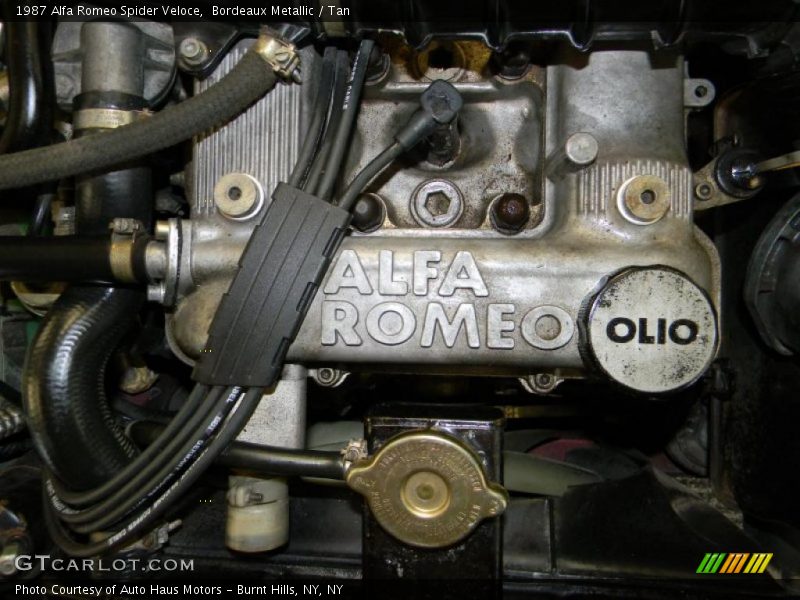  1987 Spider Veloce Engine - 2.0L DOHC Fuel Injected Inline 4 Cylinder