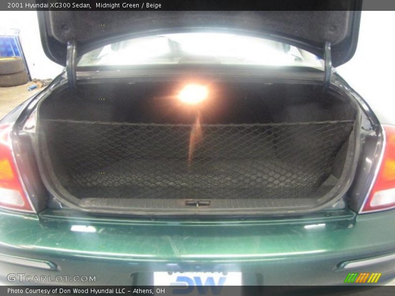 Midnight Green / Beige 2001 Hyundai XG300 Sedan
