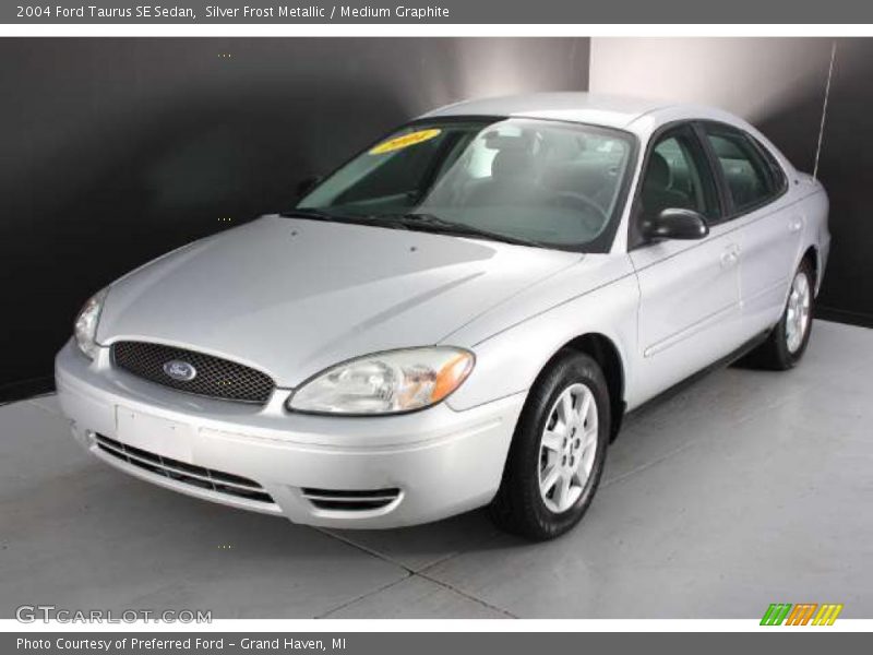 Silver Frost Metallic / Medium Graphite 2004 Ford Taurus SE Sedan