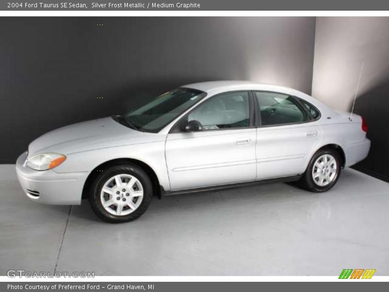Silver Frost Metallic / Medium Graphite 2004 Ford Taurus SE Sedan