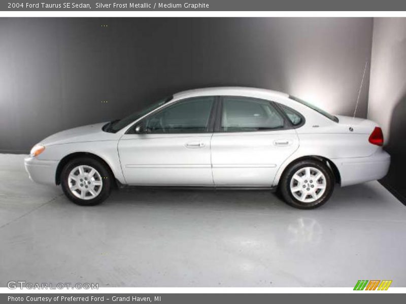 Silver Frost Metallic / Medium Graphite 2004 Ford Taurus SE Sedan