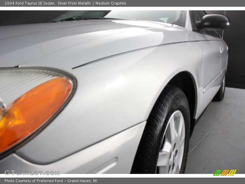 Silver Frost Metallic / Medium Graphite 2004 Ford Taurus SE Sedan