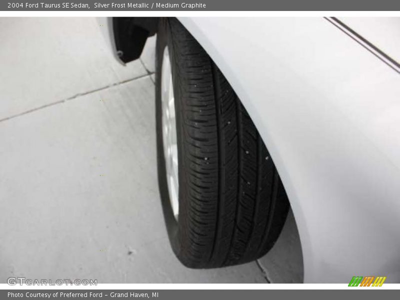 Silver Frost Metallic / Medium Graphite 2004 Ford Taurus SE Sedan