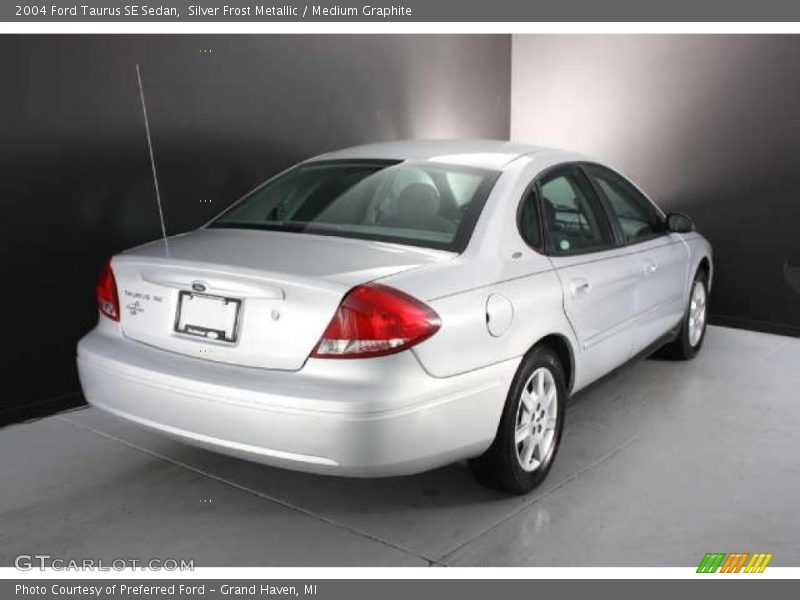 Silver Frost Metallic / Medium Graphite 2004 Ford Taurus SE Sedan