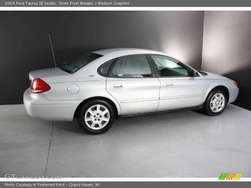 Silver Frost Metallic / Medium Graphite 2004 Ford Taurus SE Sedan