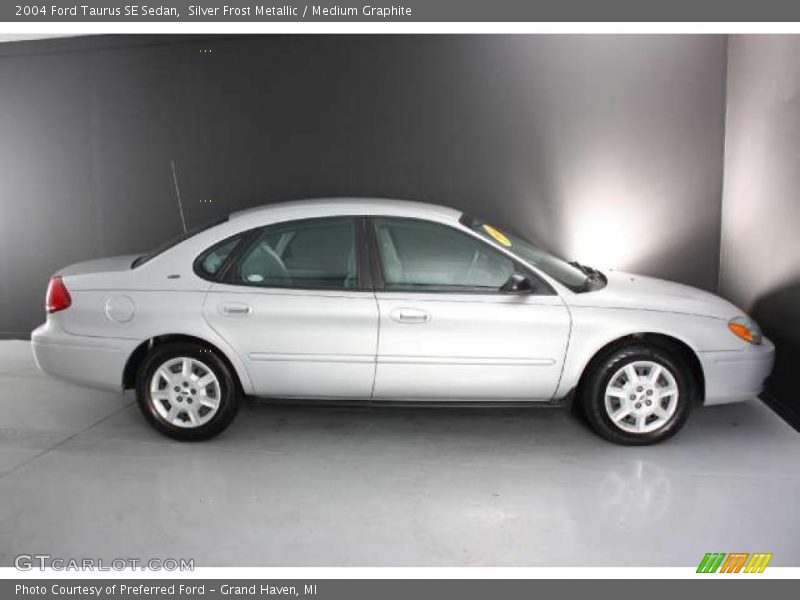 Silver Frost Metallic / Medium Graphite 2004 Ford Taurus SE Sedan