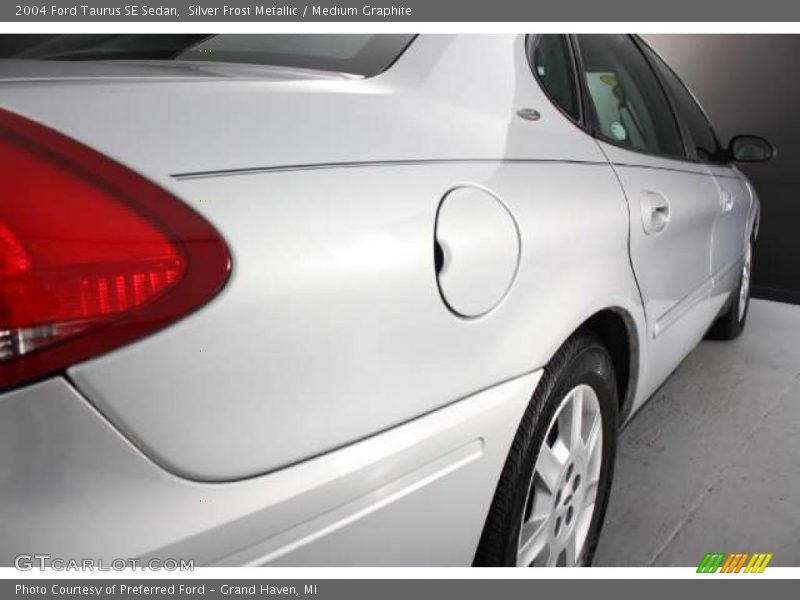 Silver Frost Metallic / Medium Graphite 2004 Ford Taurus SE Sedan