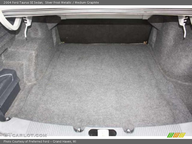 Silver Frost Metallic / Medium Graphite 2004 Ford Taurus SE Sedan