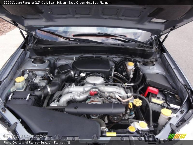 Sage Green Metallic / Platinum 2009 Subaru Forester 2.5 X L.L.Bean Edition