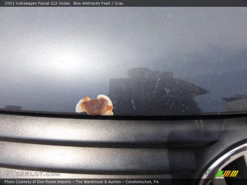 Blue Anthracite Pearl / Gray 2001 Volkswagen Passat GLX Sedan