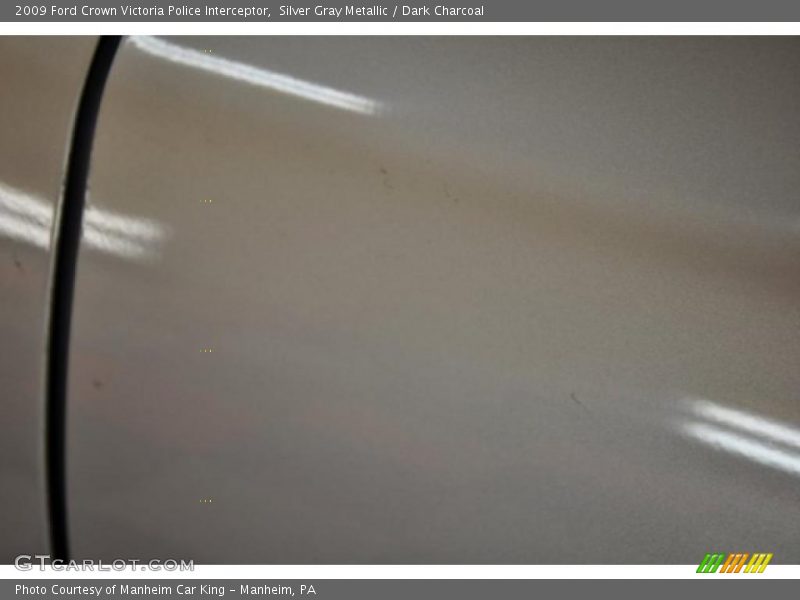 Silver Gray Metallic / Dark Charcoal 2009 Ford Crown Victoria Police Interceptor