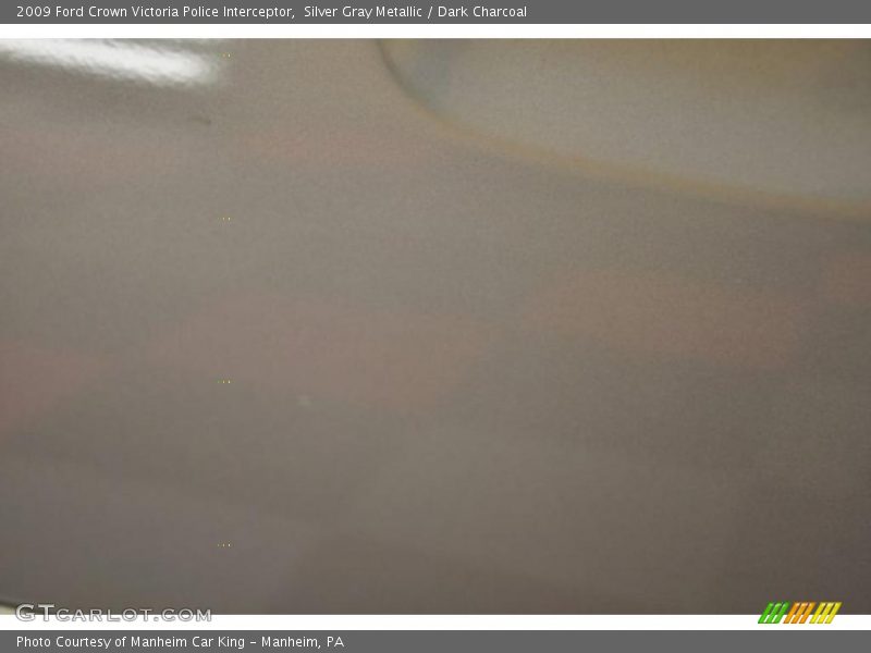 Silver Gray Metallic / Dark Charcoal 2009 Ford Crown Victoria Police Interceptor