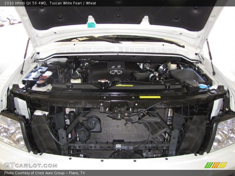 Tuscan White Pearl / Wheat 2010 Infiniti QX 56 4WD