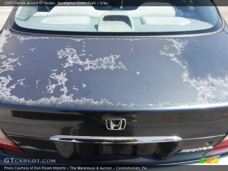 Eucalyptus Green Pearl / Gray 1997 Honda Accord VP Sedan
