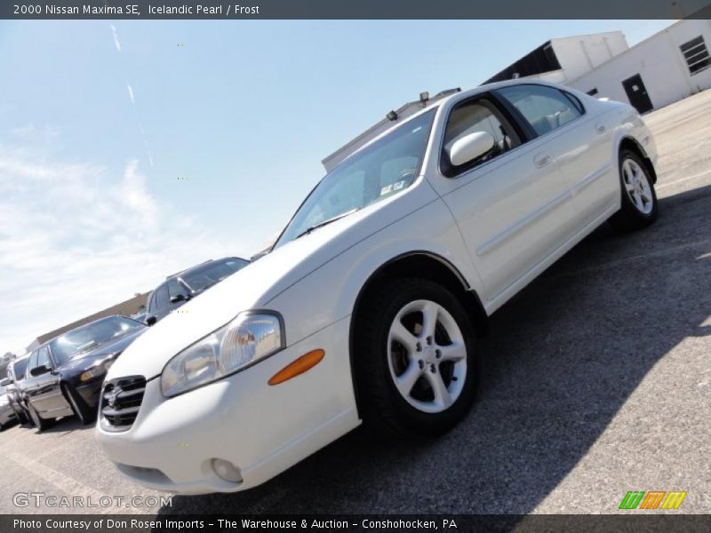 Icelandic Pearl / Frost 2000 Nissan Maxima SE