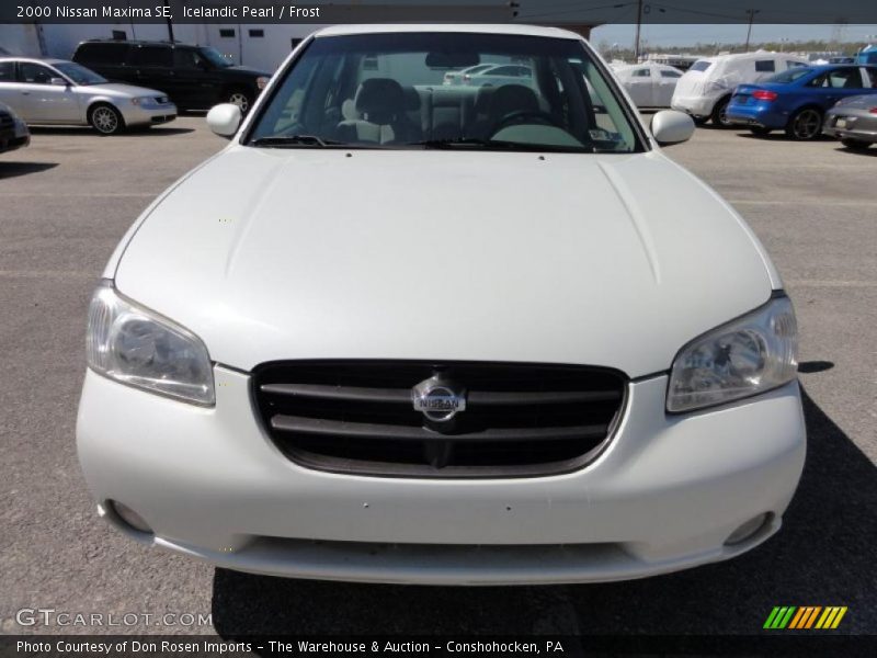Icelandic Pearl / Frost 2000 Nissan Maxima SE