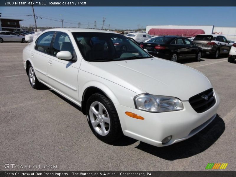 Icelandic Pearl / Frost 2000 Nissan Maxima SE