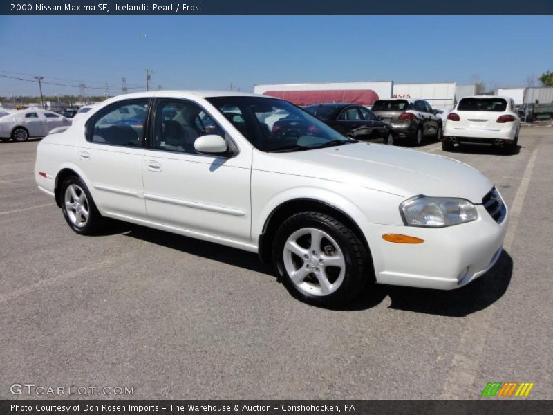 Icelandic Pearl / Frost 2000 Nissan Maxima SE