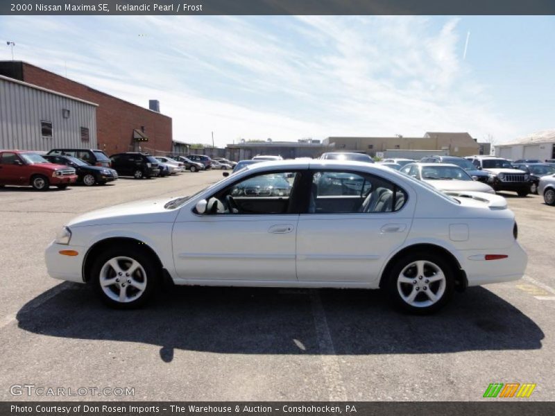Icelandic Pearl / Frost 2000 Nissan Maxima SE