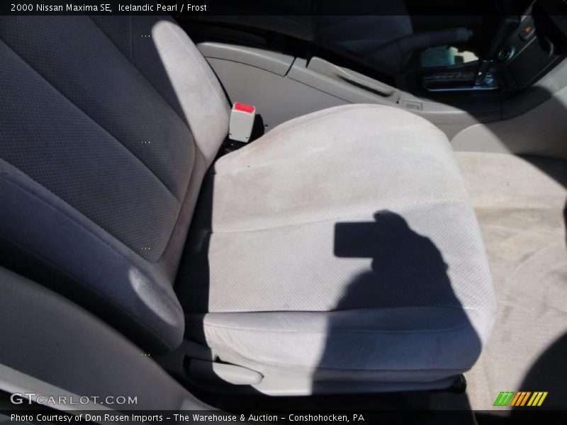 Icelandic Pearl / Frost 2000 Nissan Maxima SE