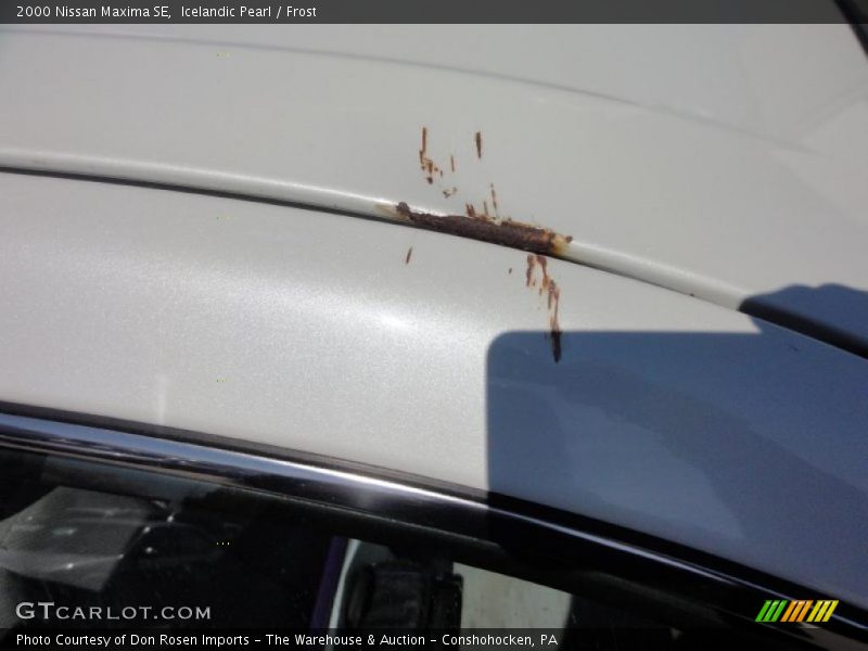 Icelandic Pearl / Frost 2000 Nissan Maxima SE
