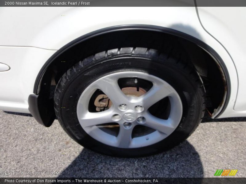 Icelandic Pearl / Frost 2000 Nissan Maxima SE