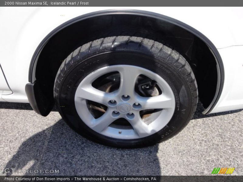Icelandic Pearl / Frost 2000 Nissan Maxima SE