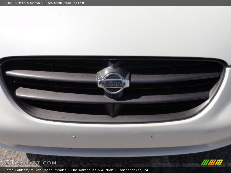 Icelandic Pearl / Frost 2000 Nissan Maxima SE