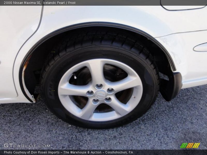 Icelandic Pearl / Frost 2000 Nissan Maxima SE