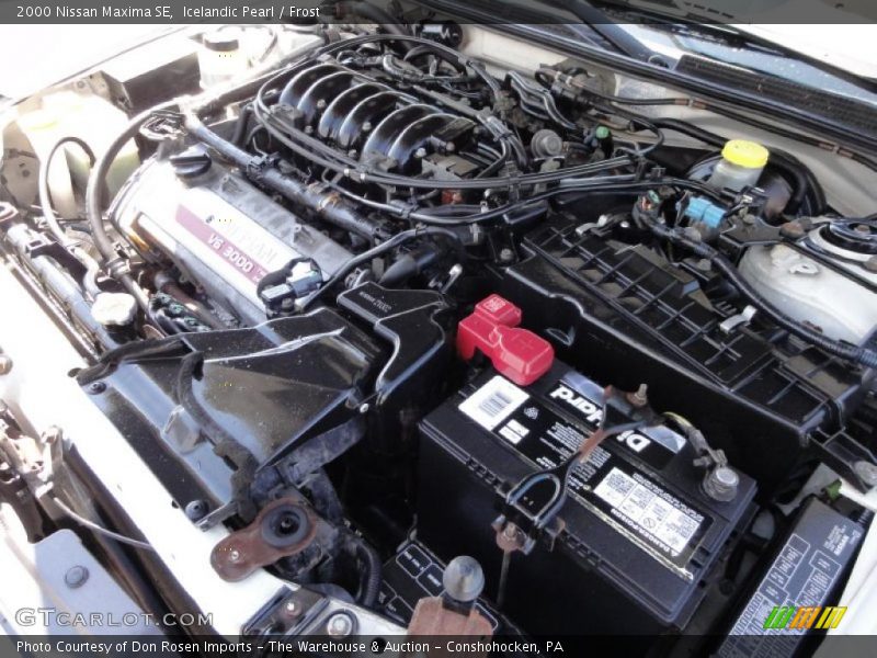 Icelandic Pearl / Frost 2000 Nissan Maxima SE