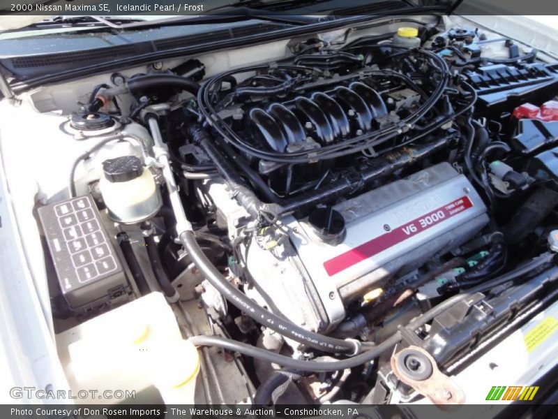 Icelandic Pearl / Frost 2000 Nissan Maxima SE