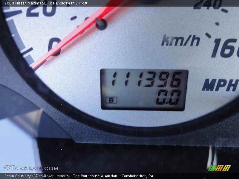 Icelandic Pearl / Frost 2000 Nissan Maxima SE