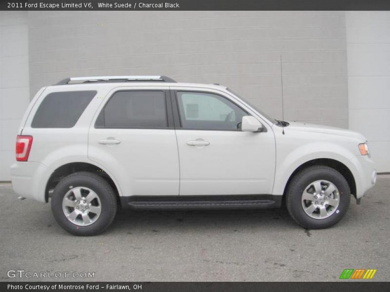 White Suede / Charcoal Black 2011 Ford Escape Limited V6