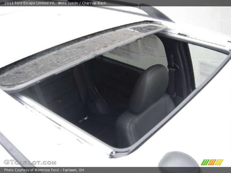 White Suede / Charcoal Black 2011 Ford Escape Limited V6