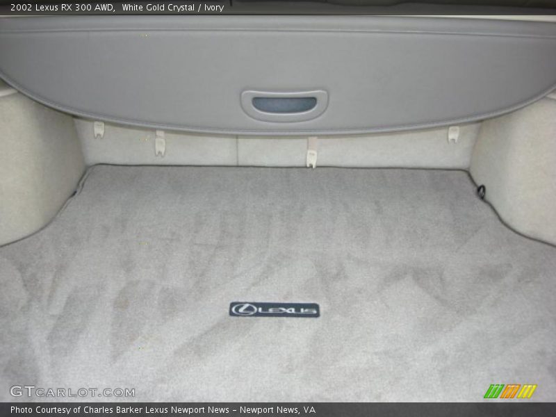 White Gold Crystal / Ivory 2002 Lexus RX 300 AWD