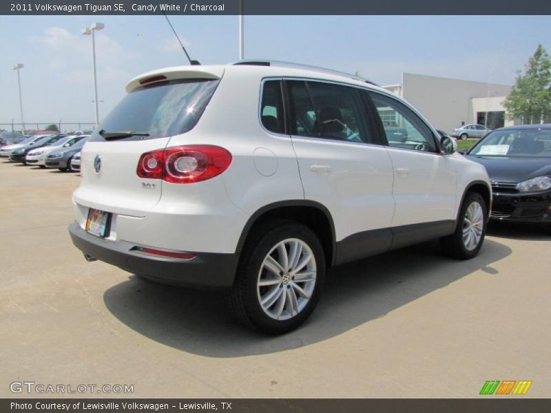 Candy White / Charcoal 2011 Volkswagen Tiguan SE