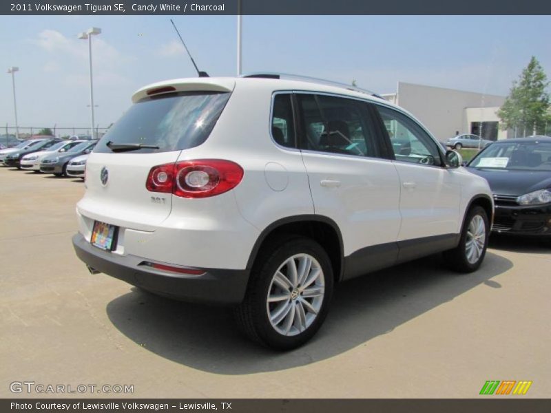 Candy White / Charcoal 2011 Volkswagen Tiguan SE