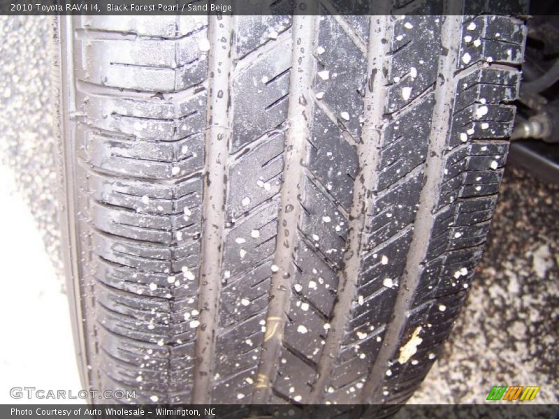 Black Forest Pearl / Sand Beige 2010 Toyota RAV4 I4