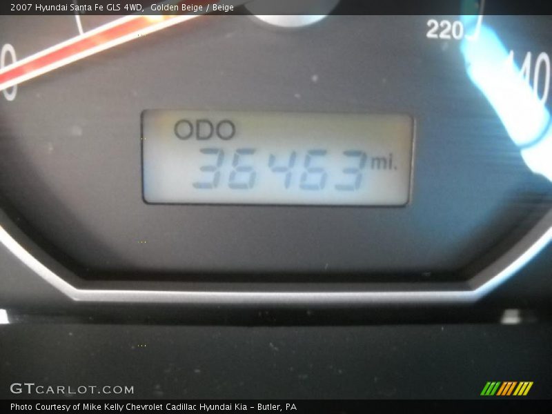 Golden Beige / Beige 2007 Hyundai Santa Fe GLS 4WD