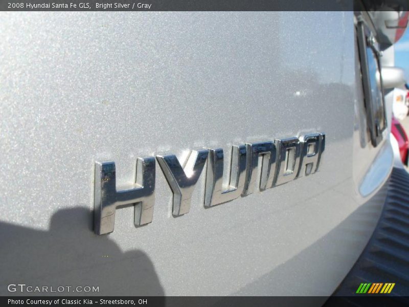 Bright Silver / Gray 2008 Hyundai Santa Fe GLS